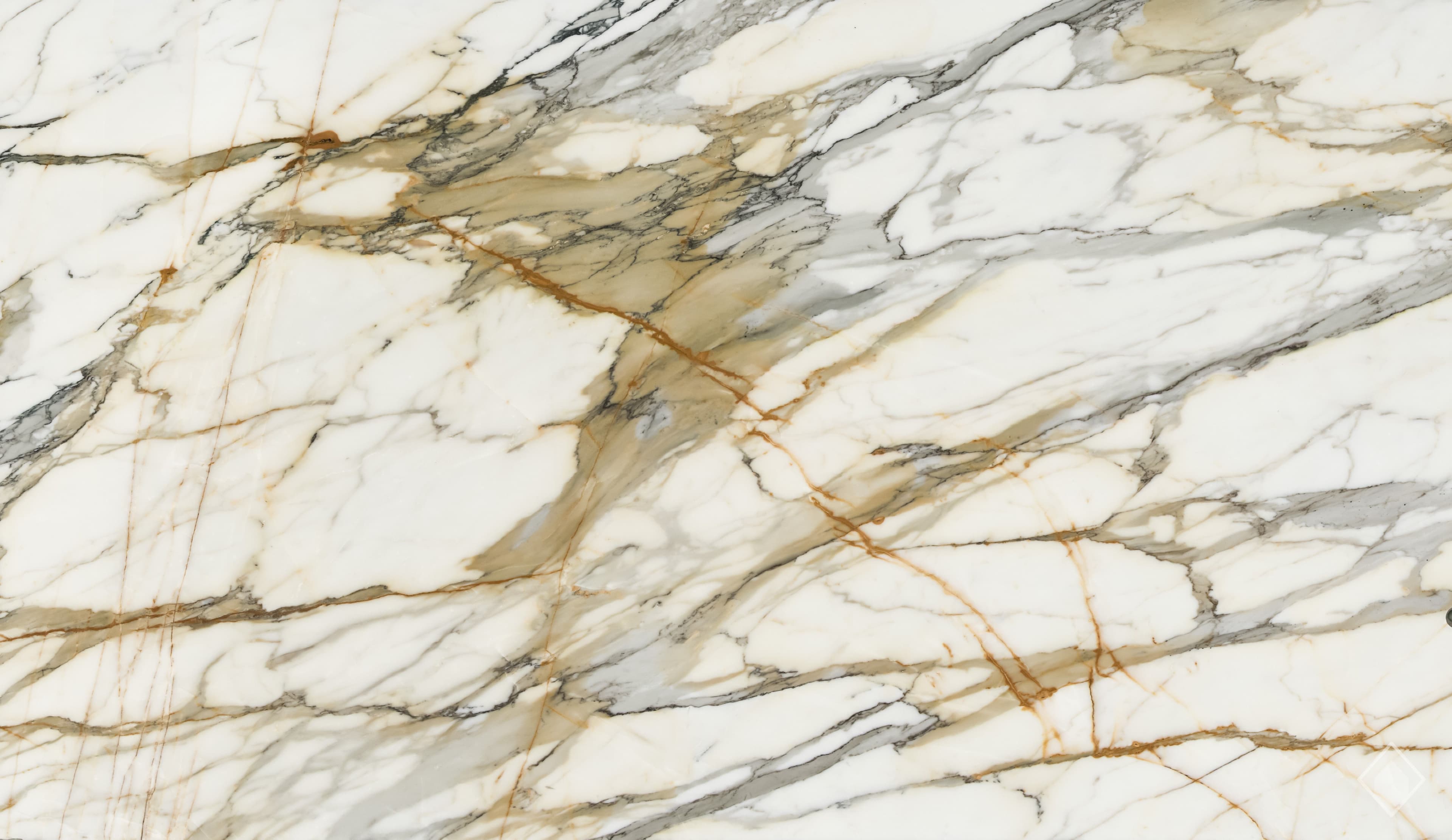Calacatta Macchia Vecchia Marble Marble slab