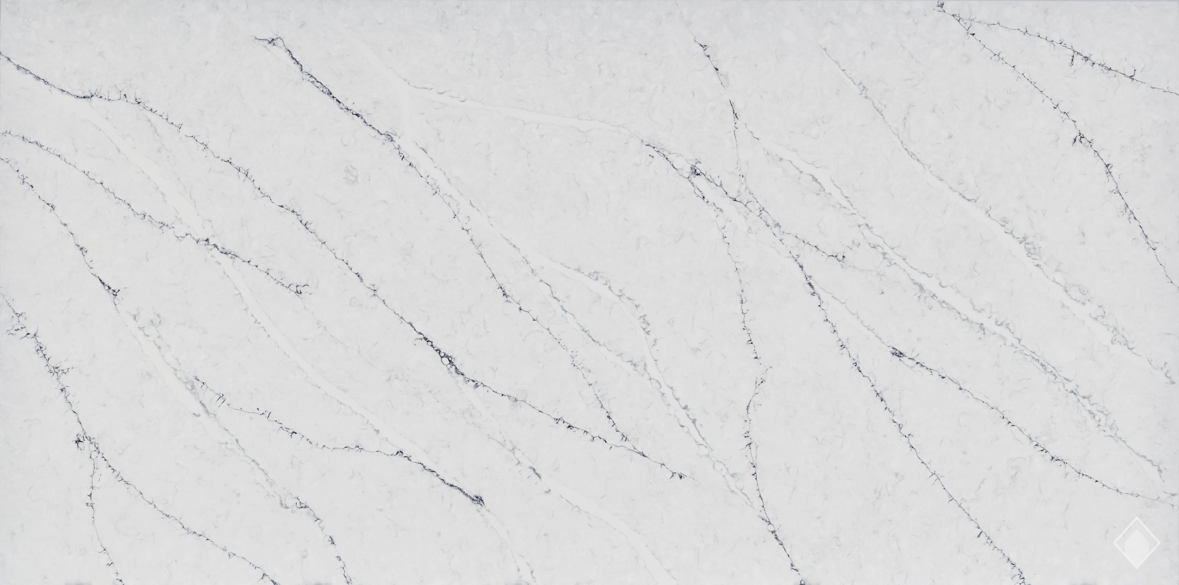 GFO Quartz Calacatta Mezzanotte quartz slab