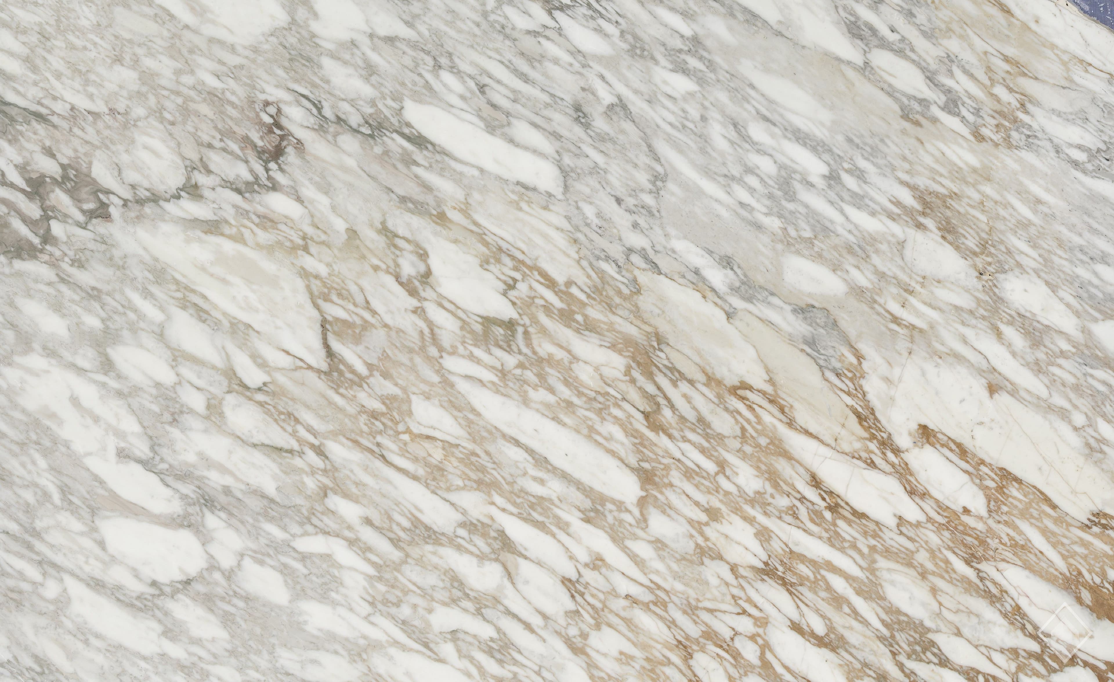 Calacatta Vagli Oro Marble Marble slab