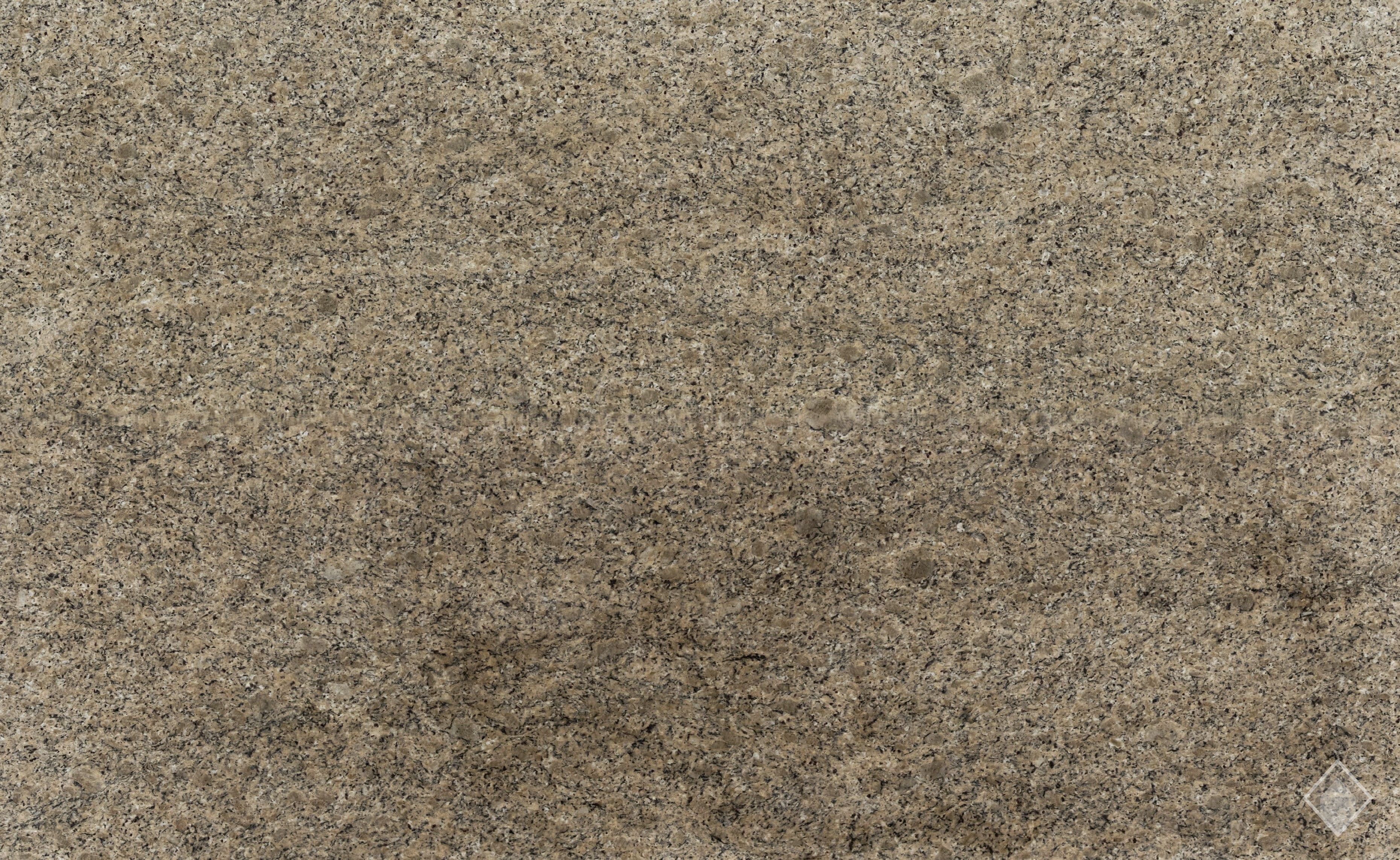 New Venetian Gold Granite Granite slab